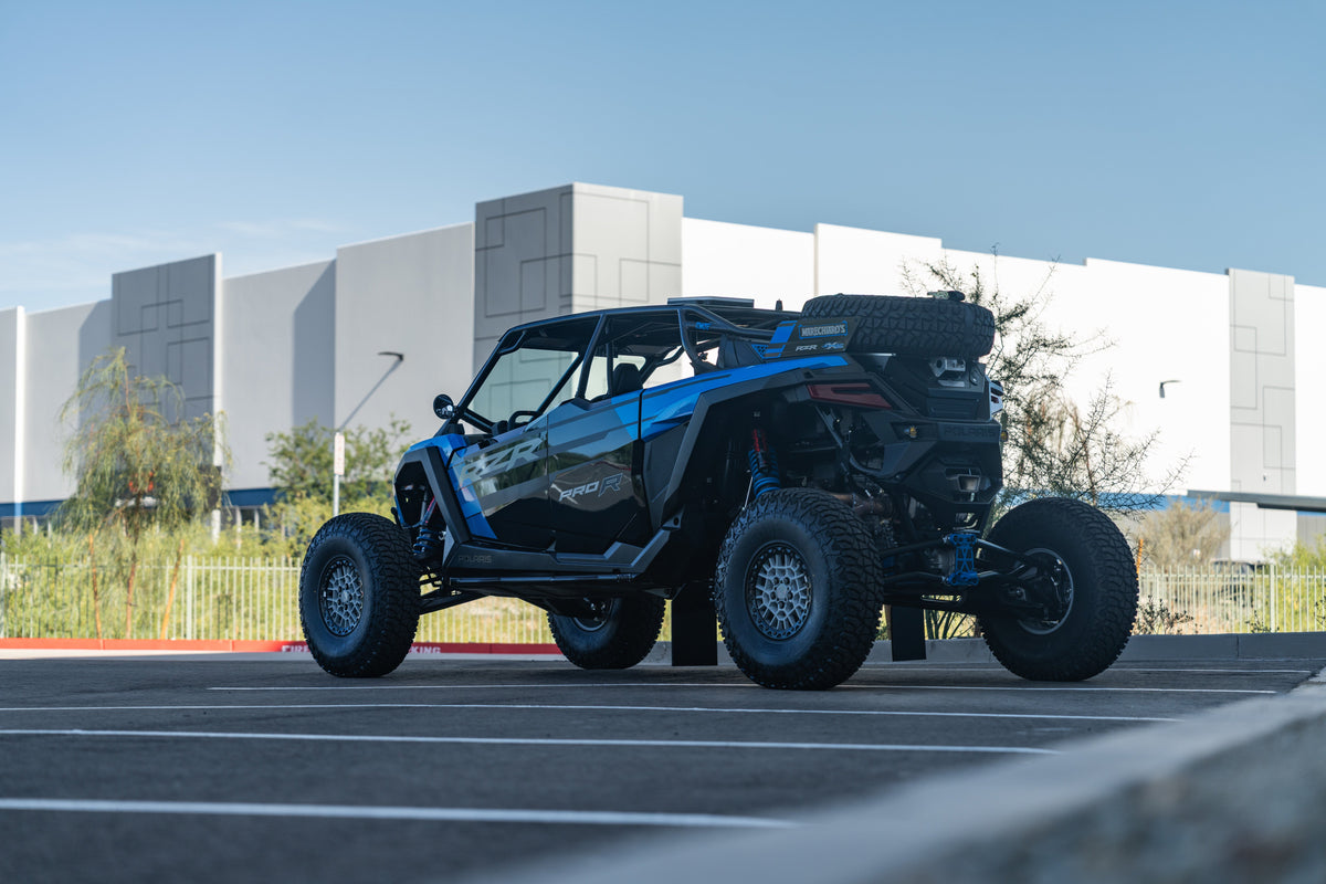 Polaris RZR Mounts